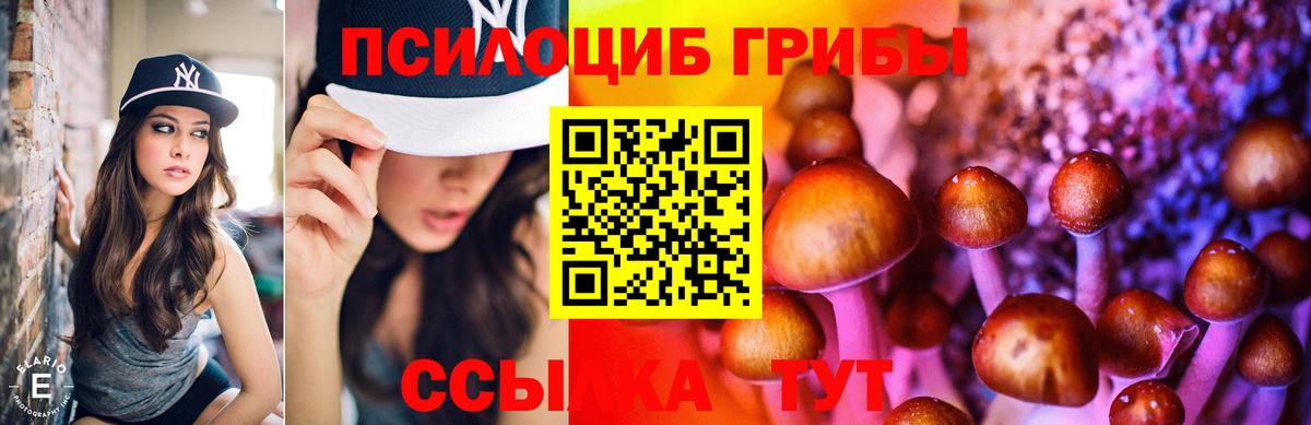Галлюциногенные грибы Psilocybine cubensis  Псилоцибиновые грибы Magic Shrooms  Томск  Вход с VPN 